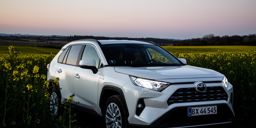 Rav 4 I Mark Komprimeret