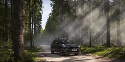 Rav 4 I Natur